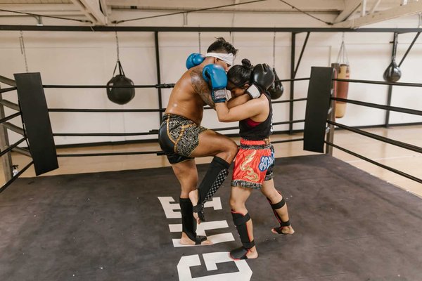 How are sports venues designed to enhance the overall fan experience?